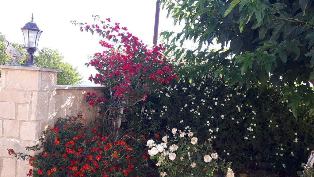 Agrepavli Lapithia Διαμέρισμα Καλλέπια Εξωτερικό φωτογραφία